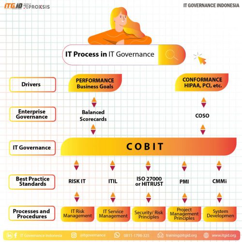 IT Governance ( COBIT )